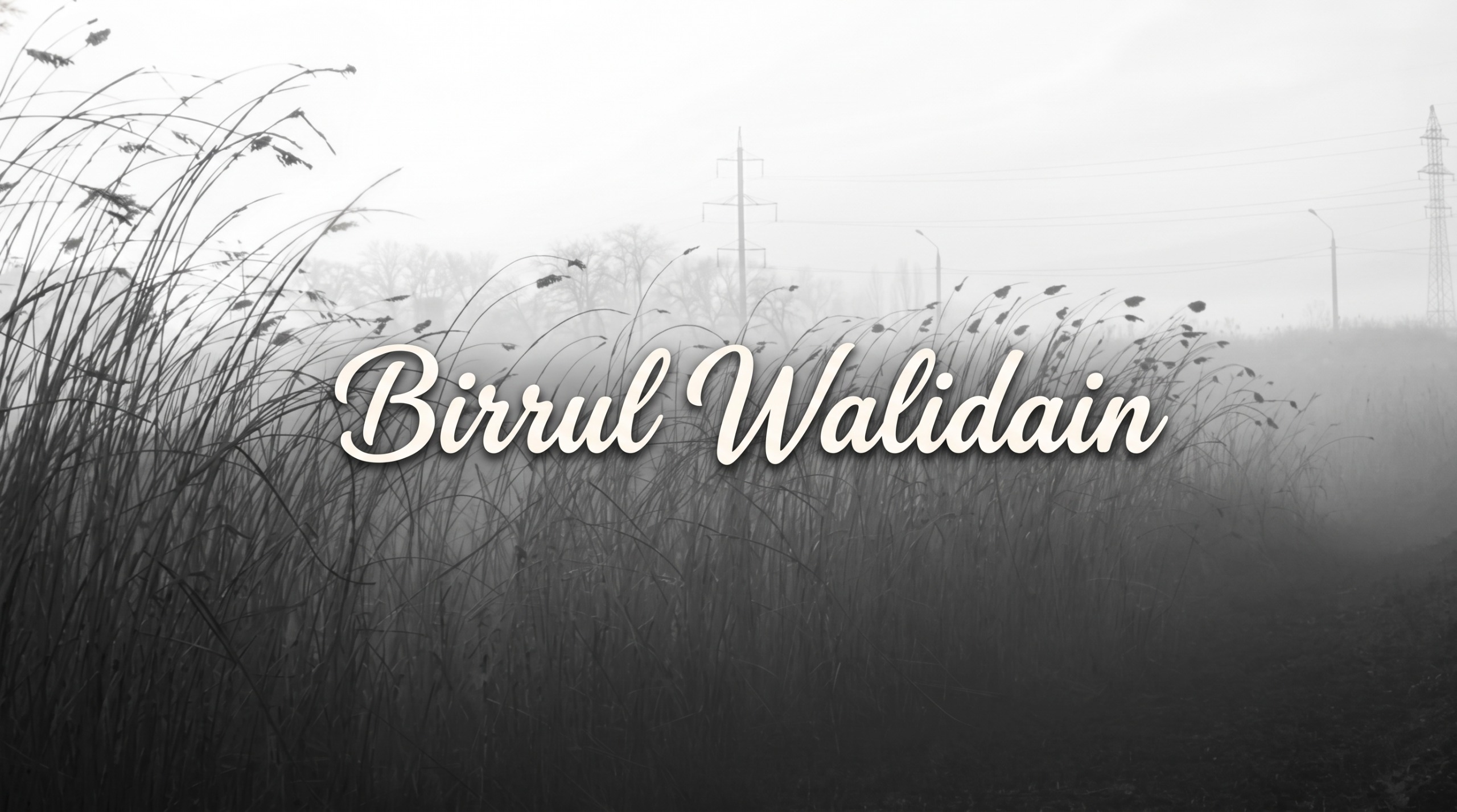 Birrul Walidain